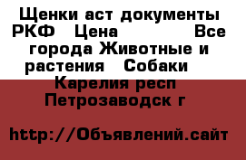 Щенки аст документы РКФ › Цена ­ 15 000 - Все города Животные и растения » Собаки   . Карелия респ.,Петрозаводск г.